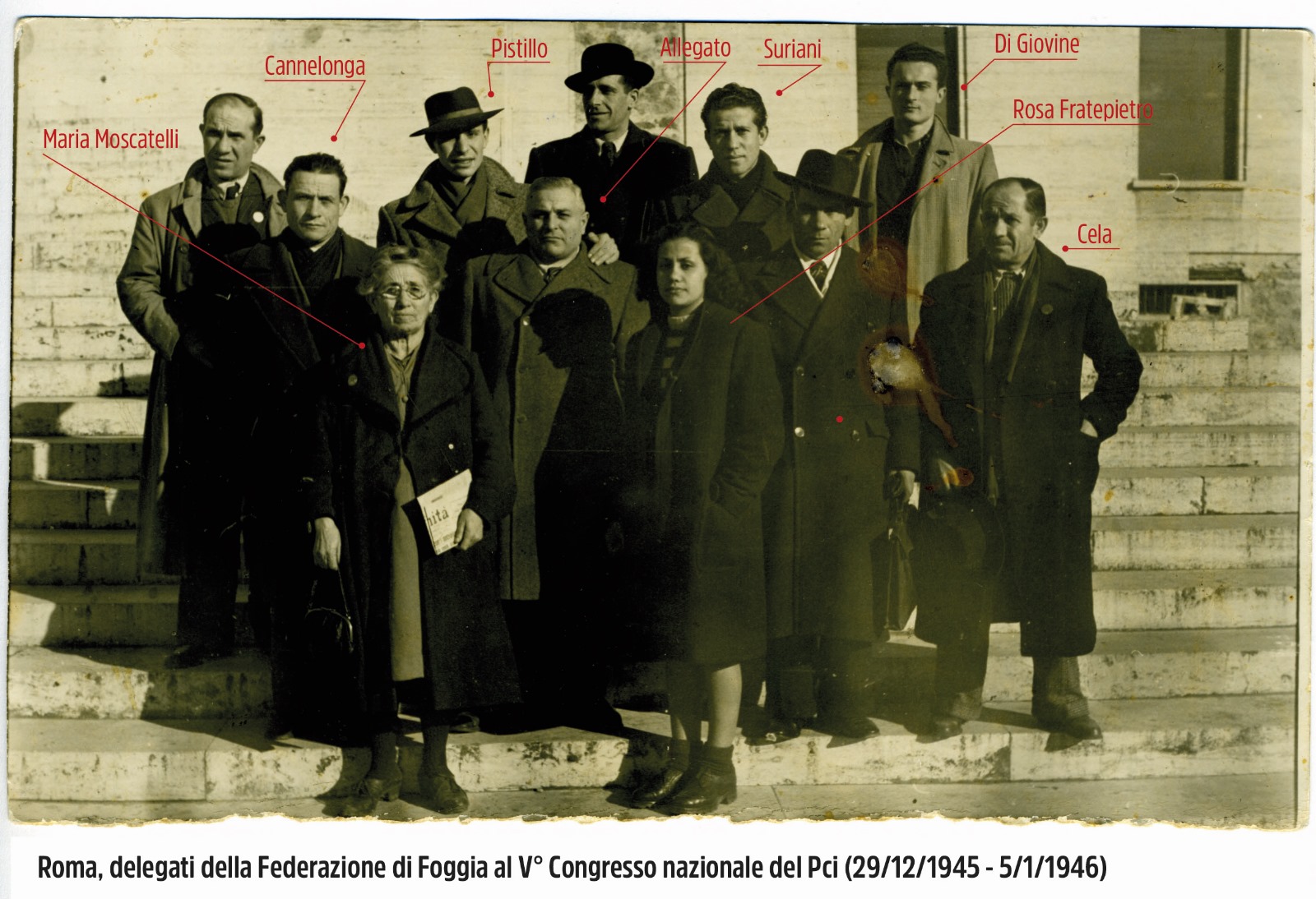 Foto Pistillo